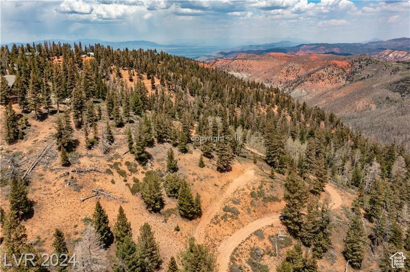 950 YANKEE LOOKOUT, Brian Head, Utah 84719, ,Land,For sale,YANKEE LOOKOUT,1984569