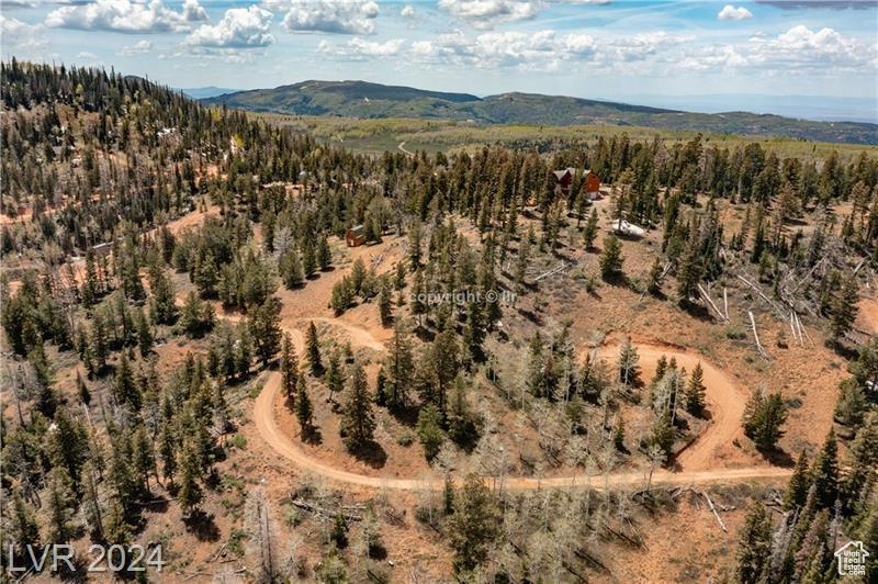 950 YANKEE LOOKOUT, Brian Head, Utah 84719, ,Land,For sale,YANKEE LOOKOUT,1984569