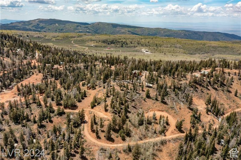 950 YANKEE LOOKOUT, Brian Head, Utah 84719, ,Land,For sale,YANKEE LOOKOUT,1984569