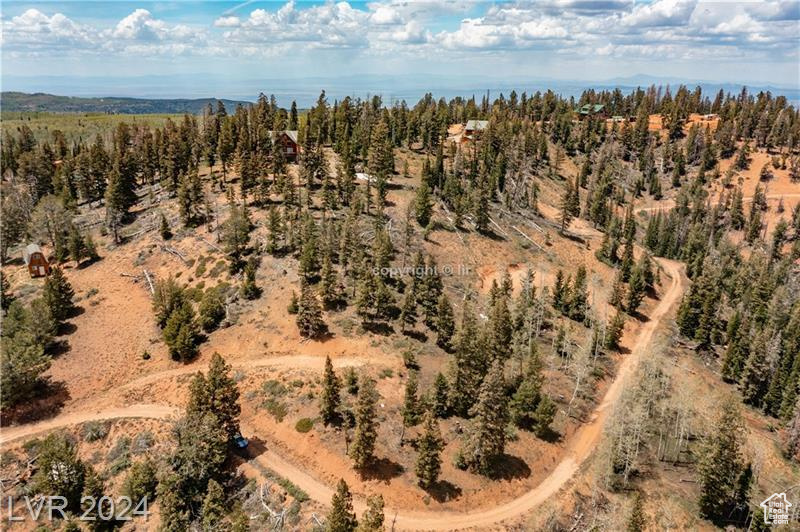 950 YANKEE LOOKOUT, Brian Head, Utah 84719, ,Land,For sale,YANKEE LOOKOUT,1984569