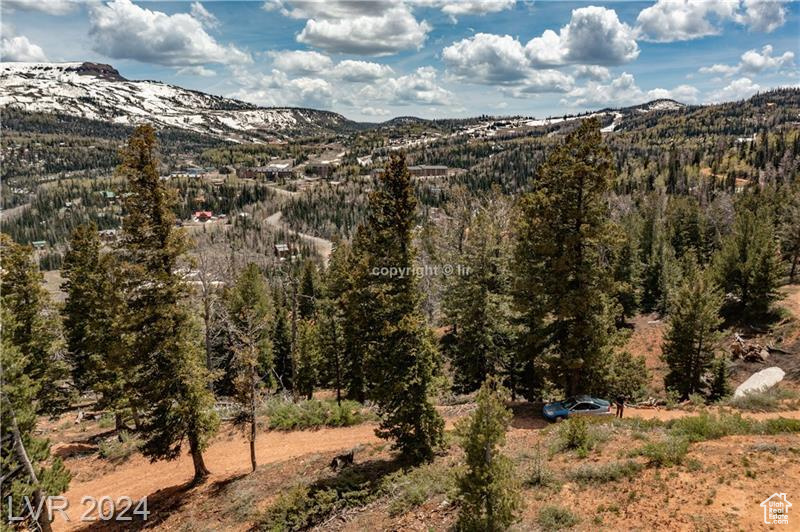 950 YANKEE LOOKOUT, Brian Head, Utah 84719, ,Land,For sale,YANKEE LOOKOUT,1984569