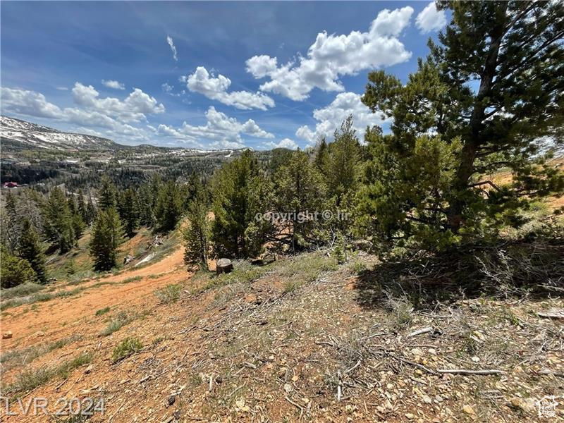 950 YANKEE LOOKOUT, Brian Head, Utah 84719, ,Land,For sale,YANKEE LOOKOUT,1984569