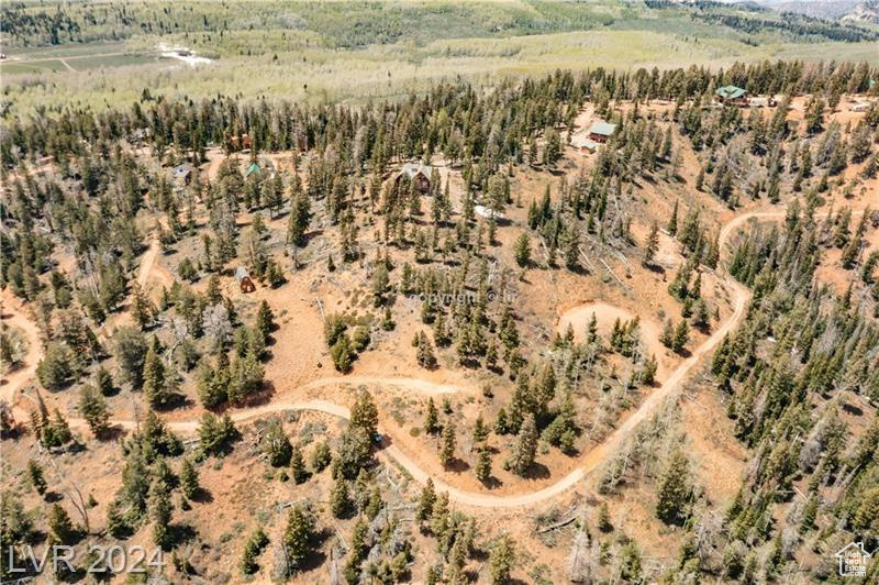 950 YANKEE LOOKOUT, Brian Head, Utah 84719, ,Land,For sale,YANKEE LOOKOUT,1984569