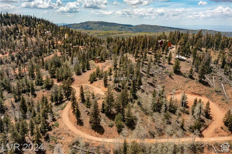 950 YANKEE LOOKOUT, Brian Head, Utah 84719, ,Land,For sale,YANKEE LOOKOUT,1984569