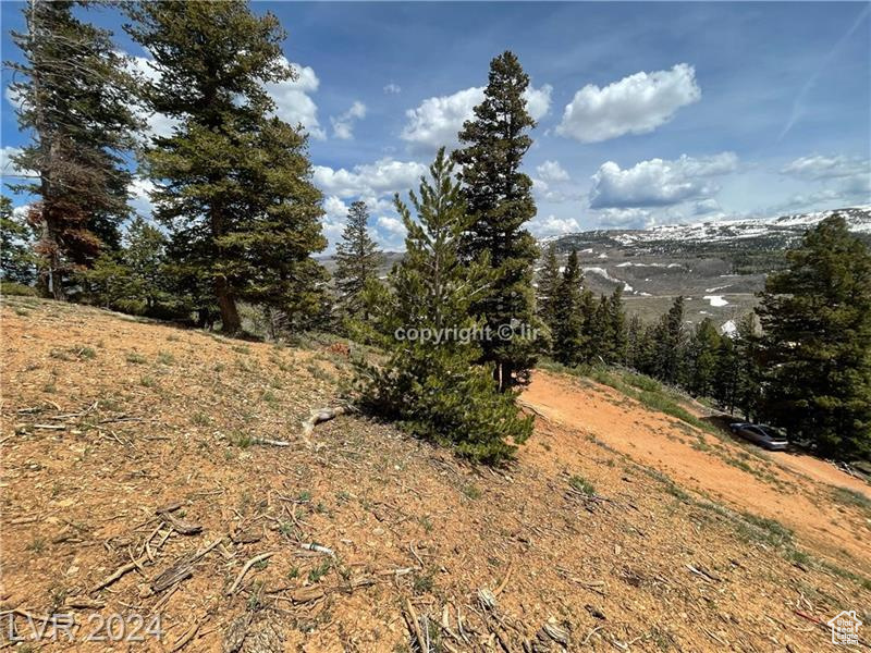 950 YANKEE LOOKOUT, Brian Head, Utah 84719, ,Land,For sale,YANKEE LOOKOUT,1984569