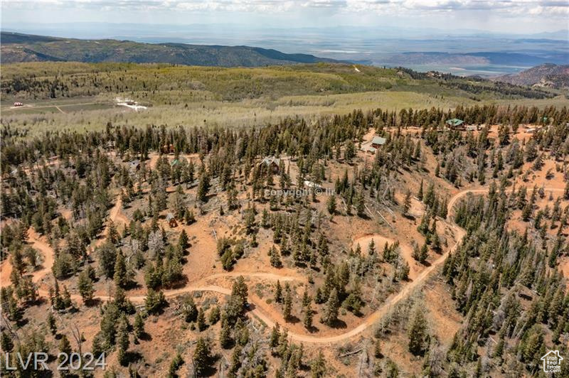 950 YANKEE LOOKOUT, Brian Head, Utah 84719, ,Land,For sale,YANKEE LOOKOUT,1984569