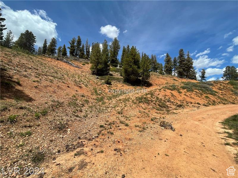 950 YANKEE LOOKOUT, Brian Head, Utah 84719, ,Land,For sale,YANKEE LOOKOUT,1984569