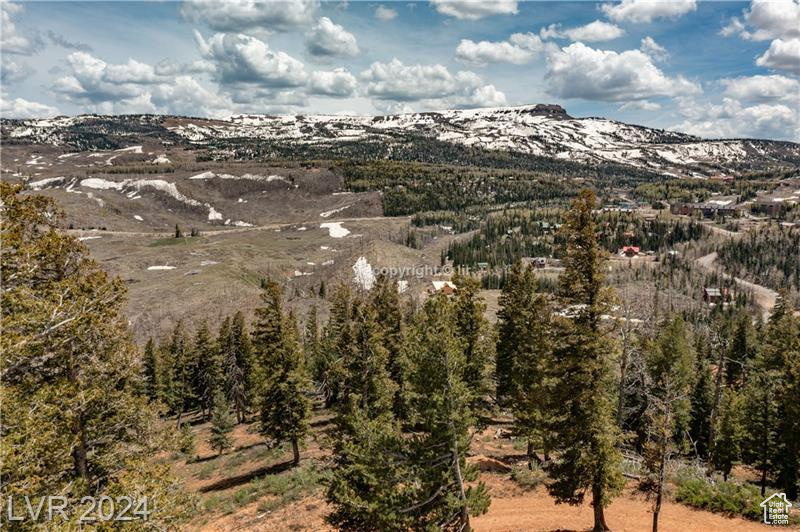 950 YANKEE LOOKOUT, Brian Head, Utah 84719, ,Land,For sale,YANKEE LOOKOUT,1984569