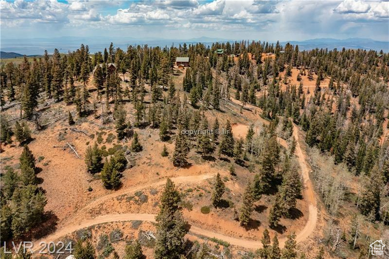 950 YANKEE LOOKOUT, Brian Head, Utah 84719, ,Land,For sale,YANKEE LOOKOUT,1984569