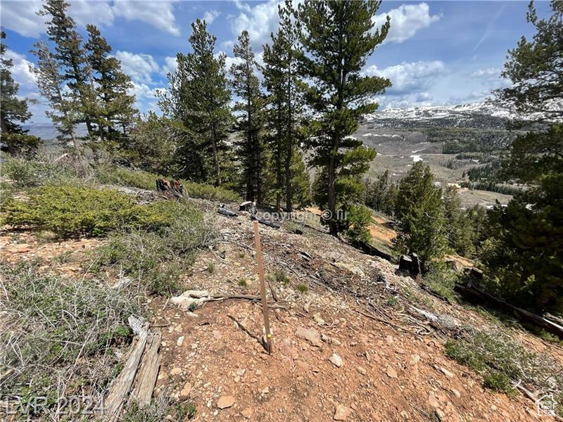 950 YANKEE LOOKOUT, Brian Head, Utah 84719, ,Land,For sale,YANKEE LOOKOUT,1984569