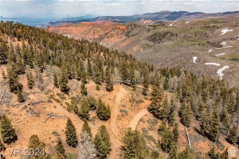 950 YANKEE LOOKOUT, Brian Head, Utah 84719, ,Land,For sale,YANKEE LOOKOUT,1984569