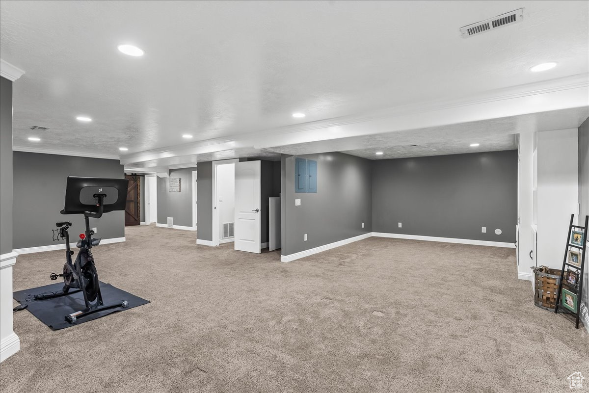 Entertainment or Exercise room featuring crown molding and carpet