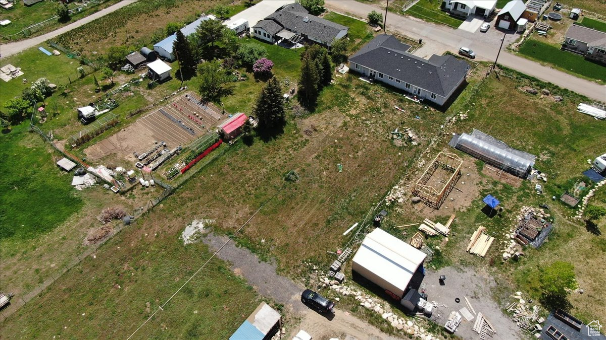 View of bird's eye view