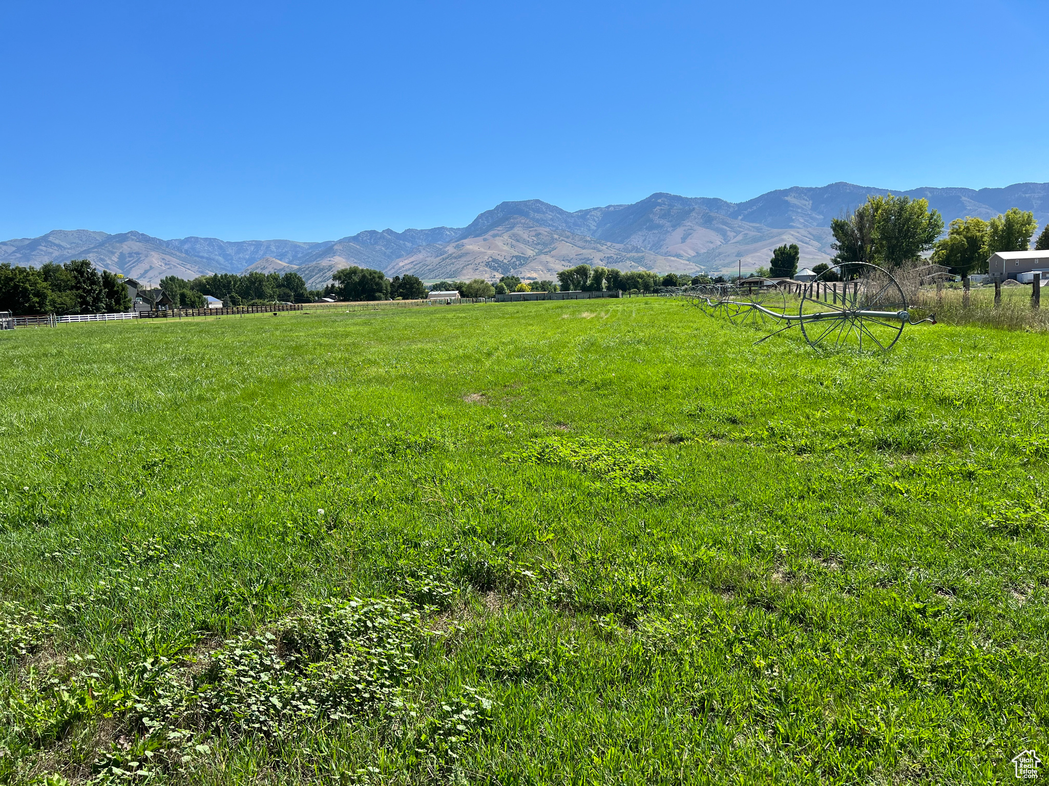 Irrigated land with pressurized water shares included with the sale