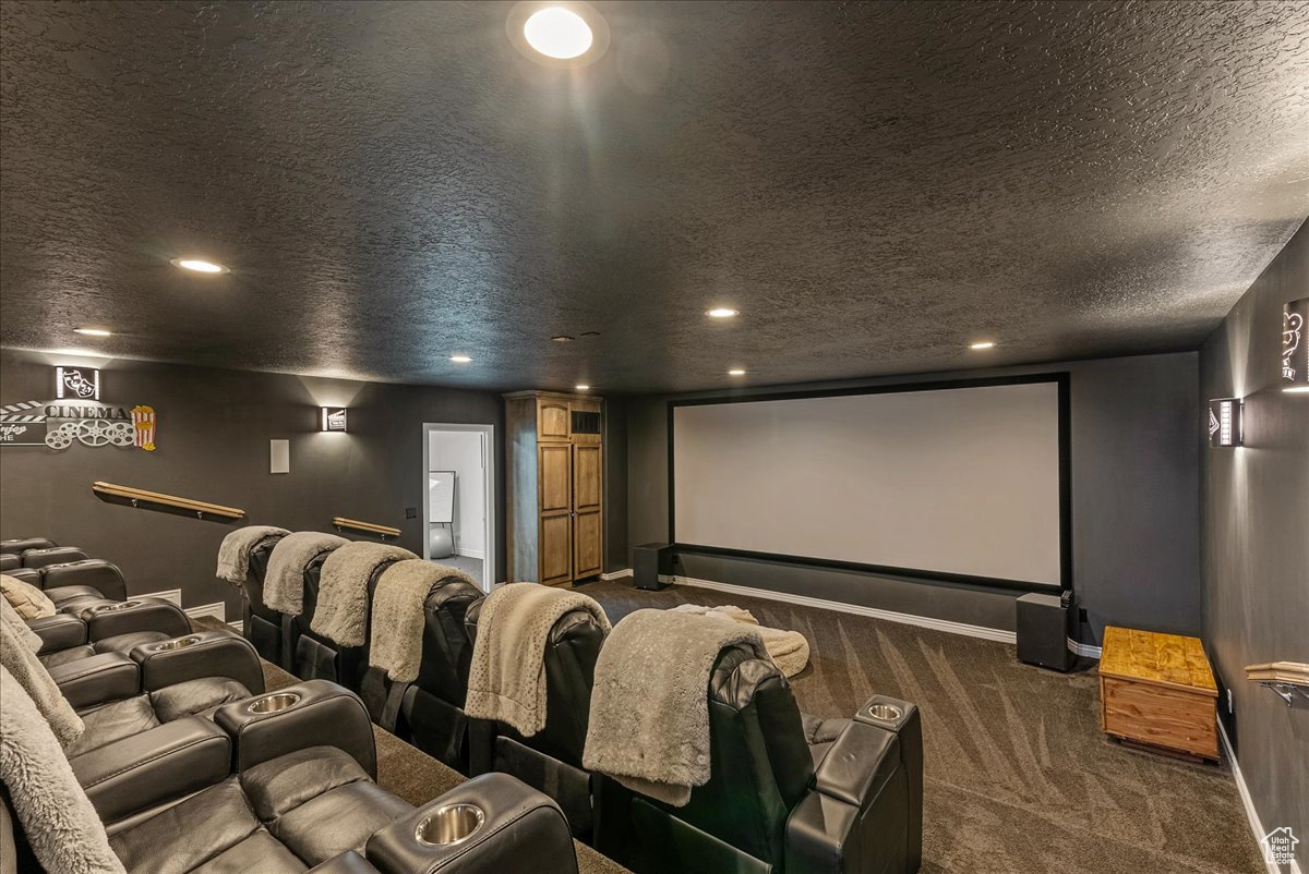 Cinema featuring dark colored carpet and a textured ceiling