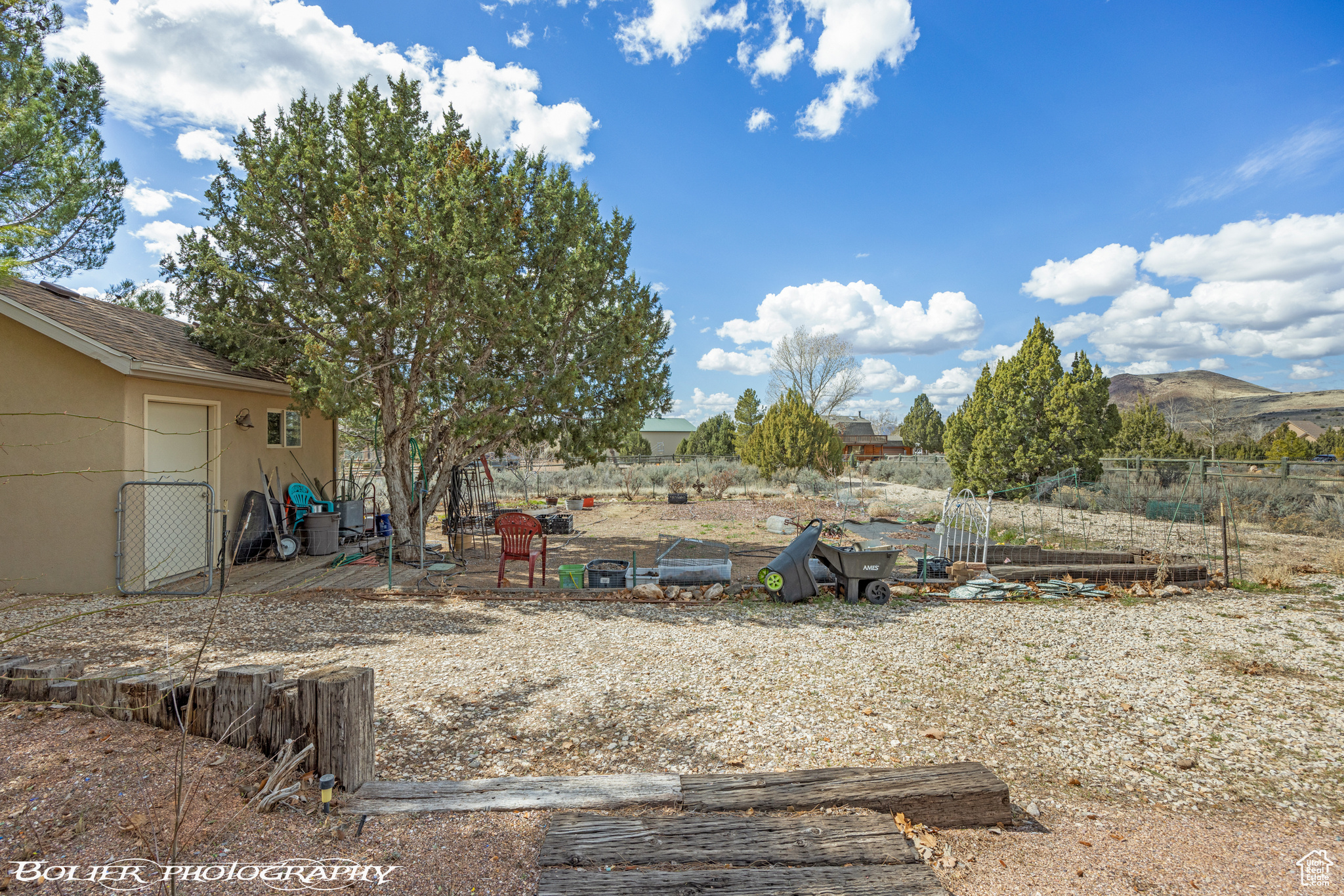 Garden and Shed area