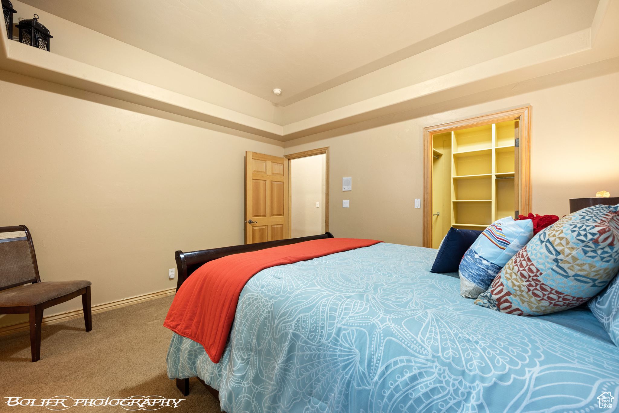 Carpeted bedroom featuring a spacious closet, a tray ceiling, and a closet