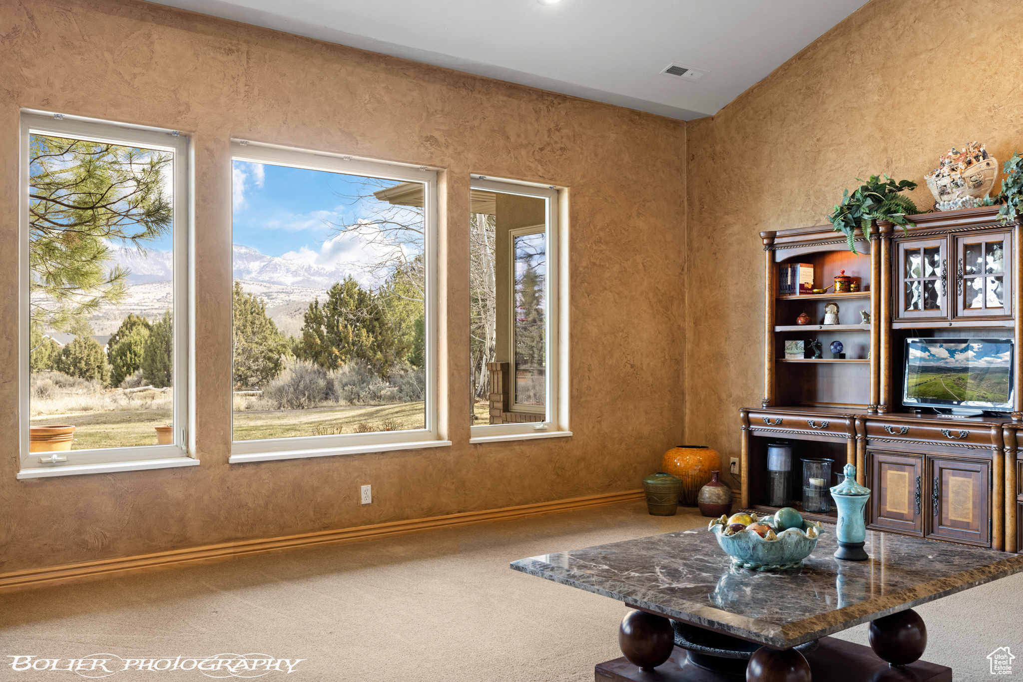 Sitting room with a healthy amount of sunlight and carpet flooring