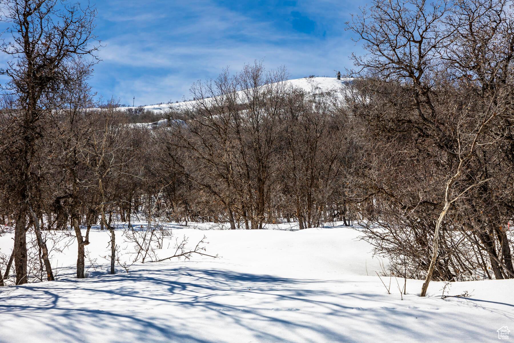 10318 N TERRAE #E-31, Park City, Utah 84060, ,Land,For sale,TERRAE,1985104