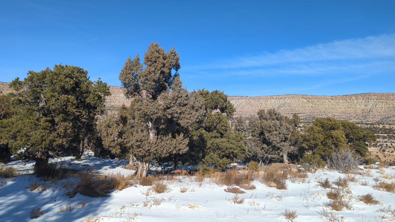 0, Duchesne, Utah 84021, ,Land,For sale,1985295