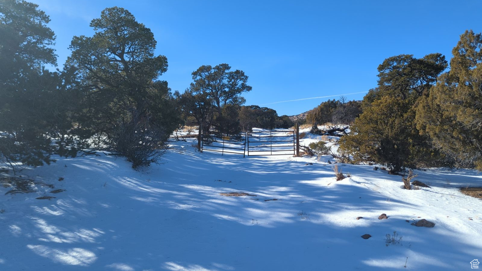 Gate to 20 Acre Parcel