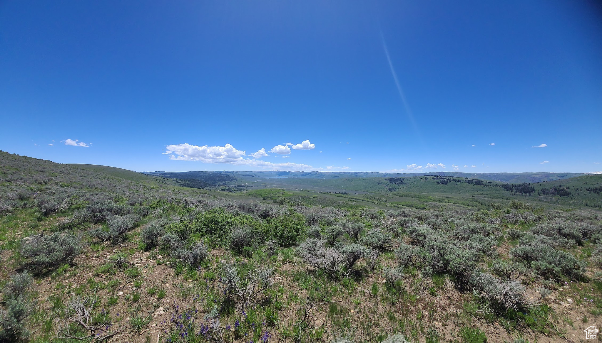 #D34, Spanish Fork, Utah 84660, ,Land,For sale,1985425