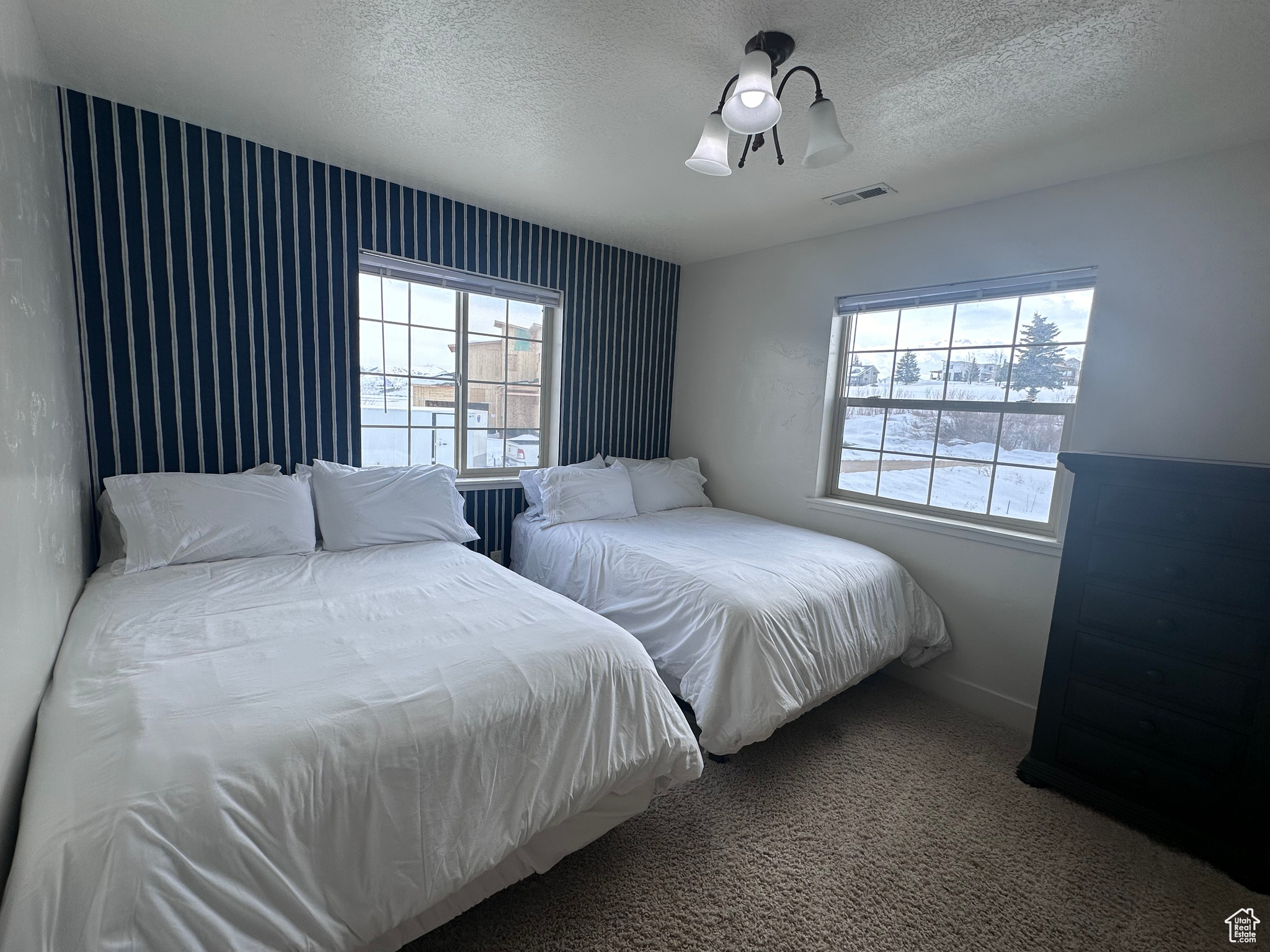 Carpeted bedroom featuring multiple windows, and ceiling fan