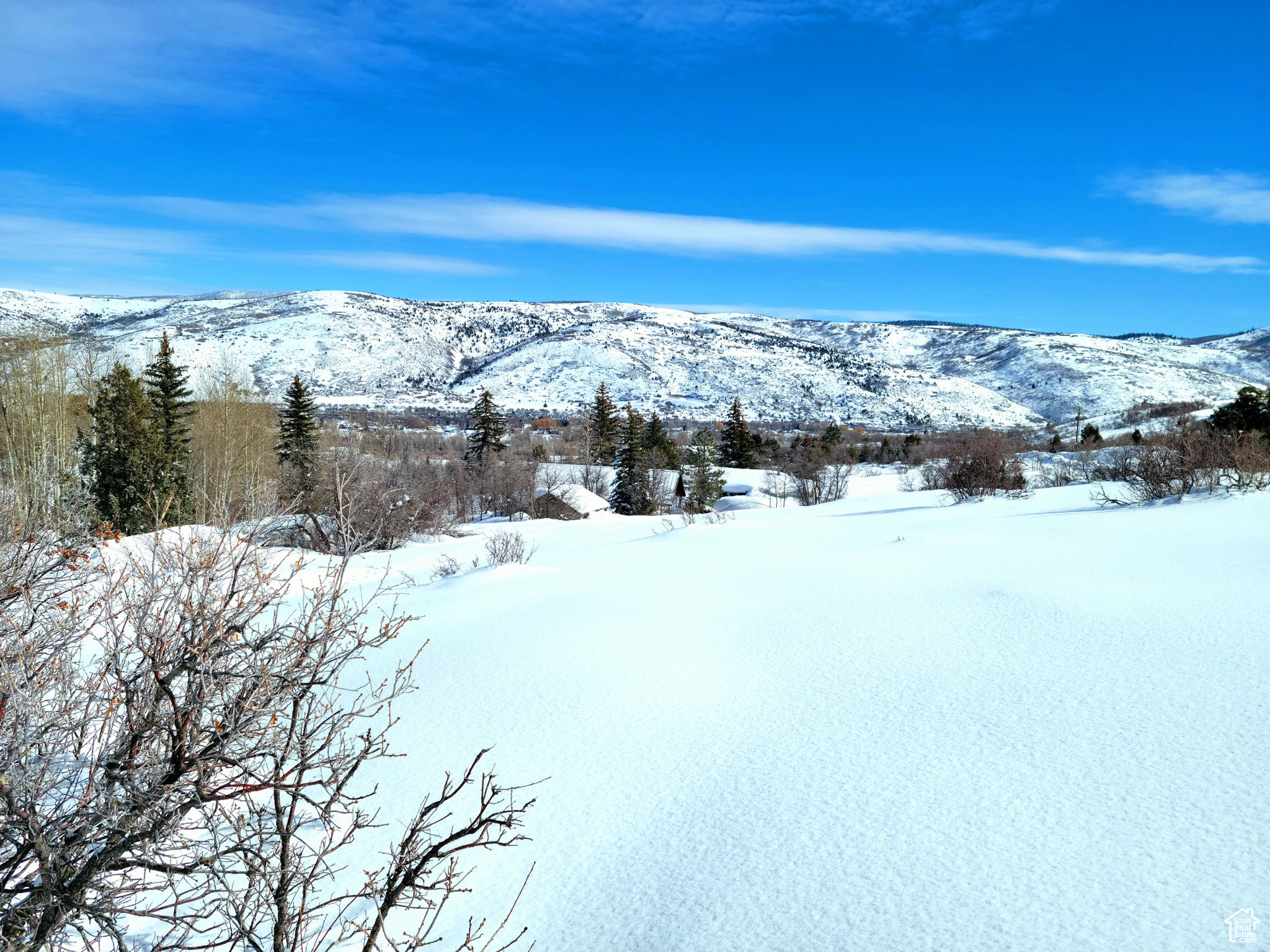 4482 S ASPEN HOLLOW, Woodland, Utah 84036, ,Land,For sale,ASPEN HOLLOW,1985837