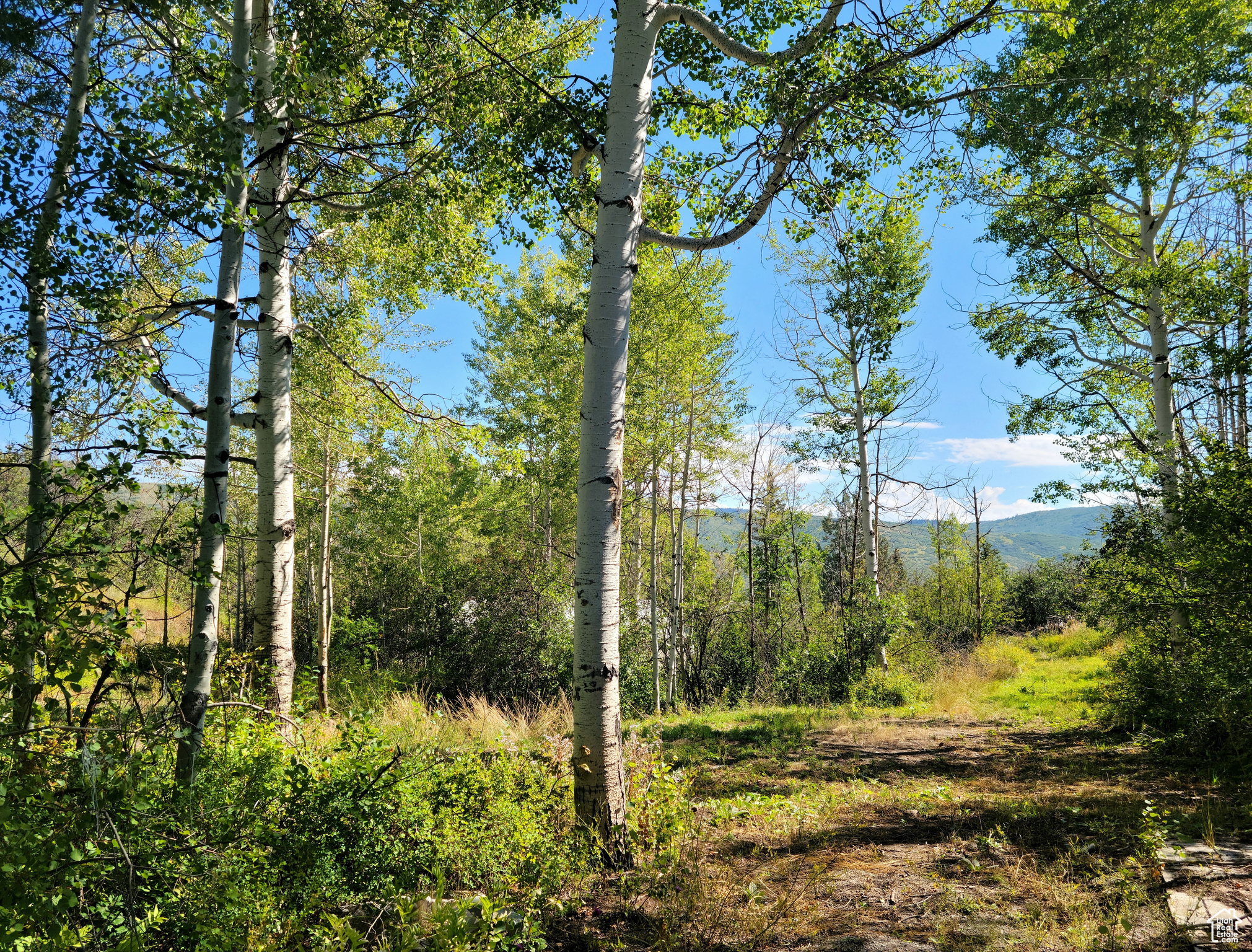 4482 S ASPEN HOLLOW, Woodland, Utah 84036, ,Land,For sale,ASPEN HOLLOW,1985837