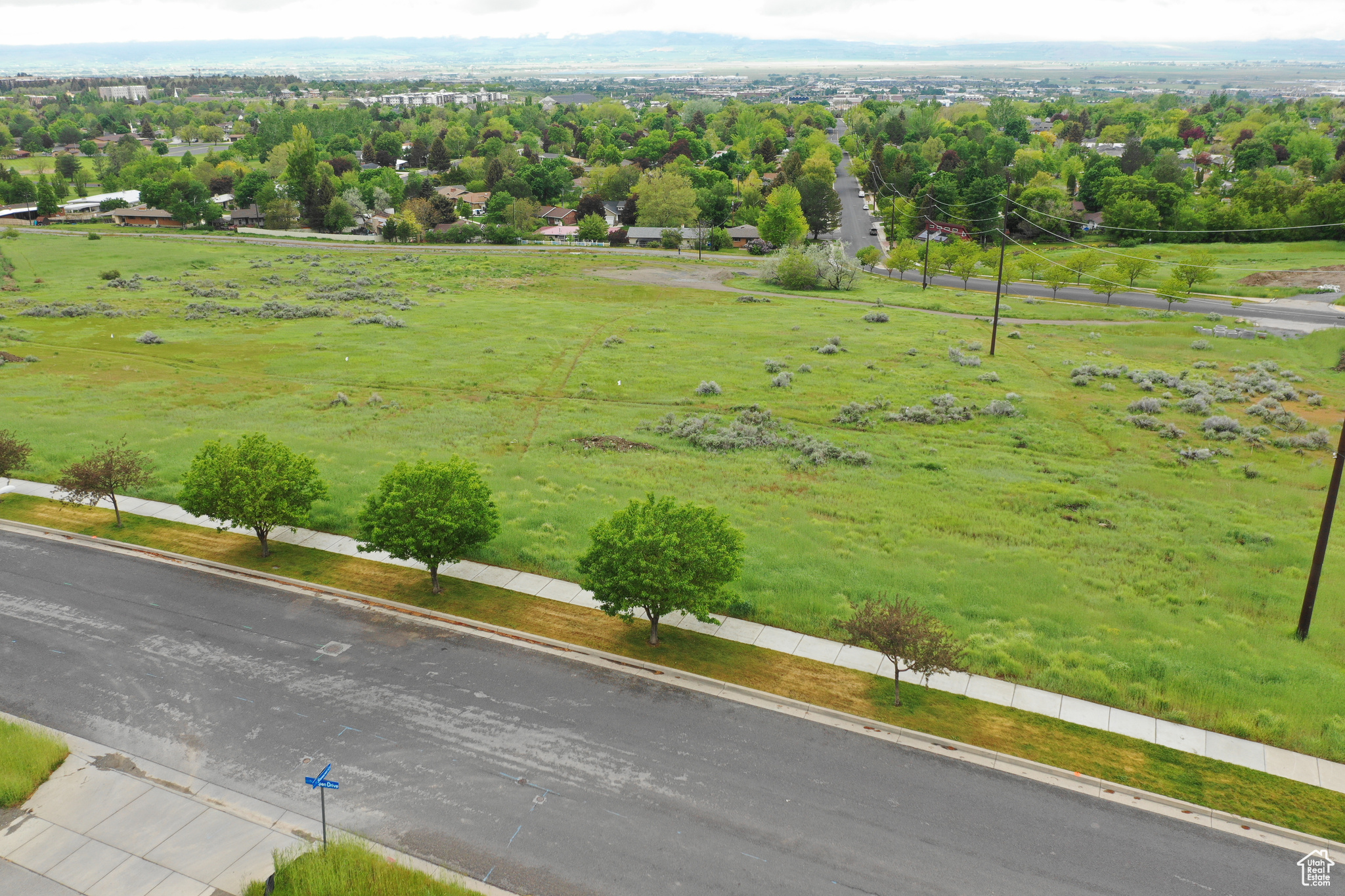 View of bird's eye view