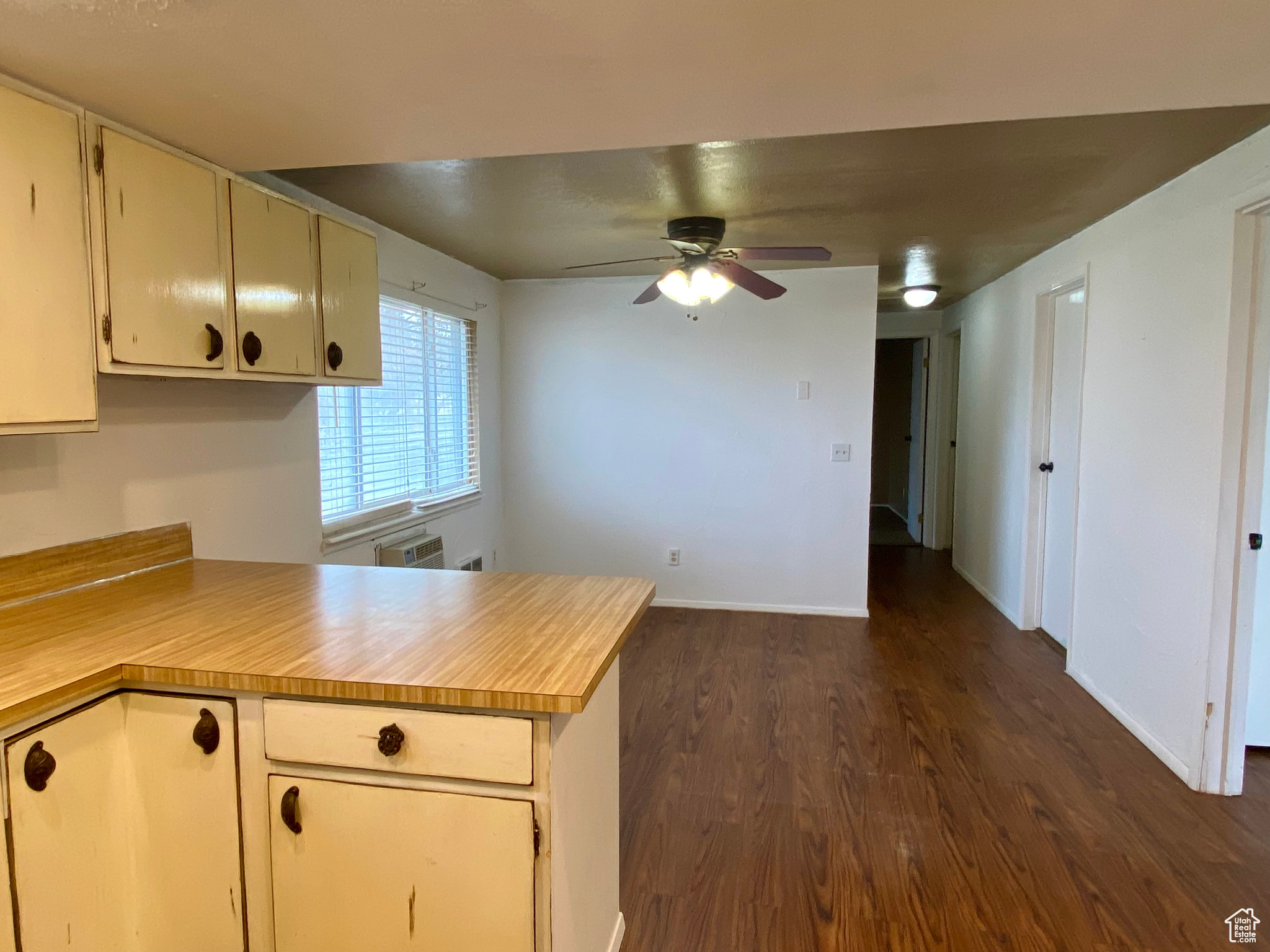 Kitchen featuring dark hardwood / wood-style flooring, kitchen peninsula, and ceiling fan
