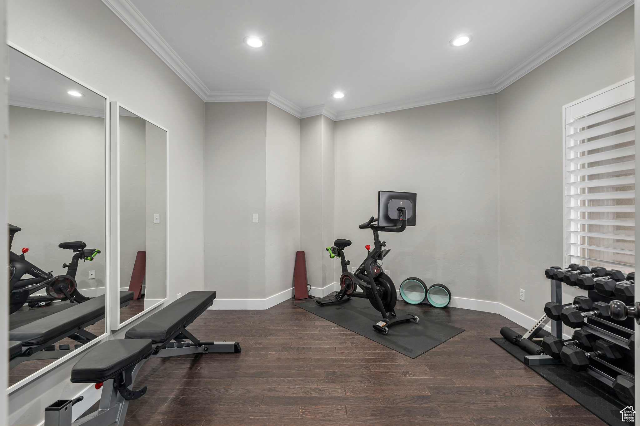 Exercise room/Den featuring dark wood flooring and ornamental molding