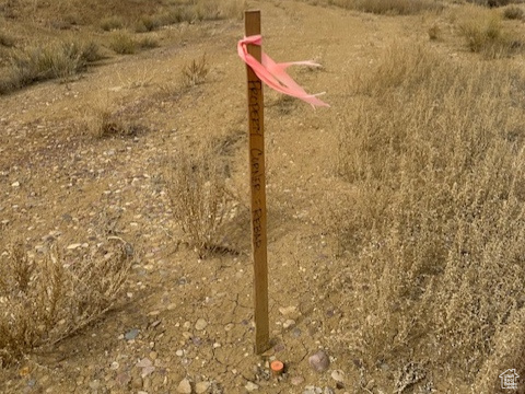Property marker at southeast end of property