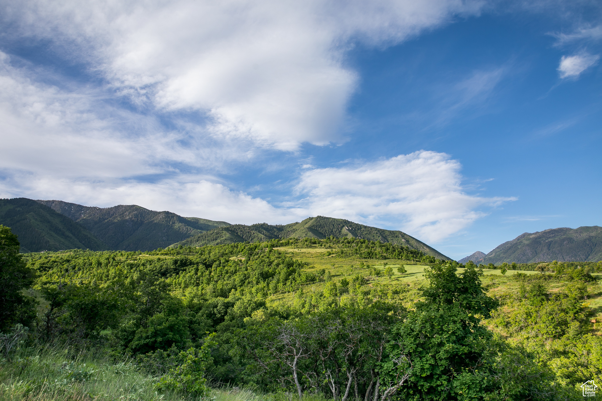 View of wildlife corridor