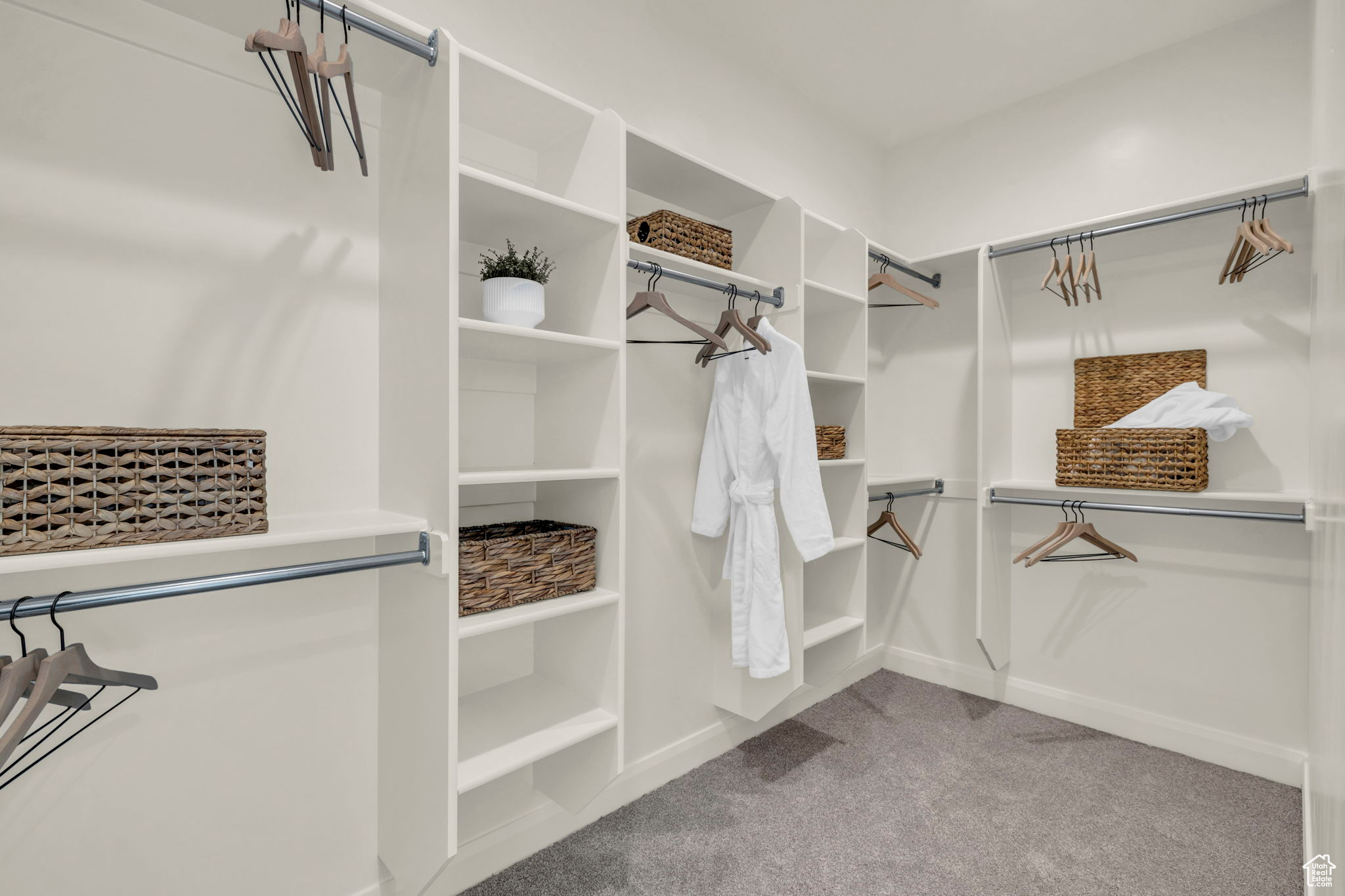 Spacious closet featuring light carpet