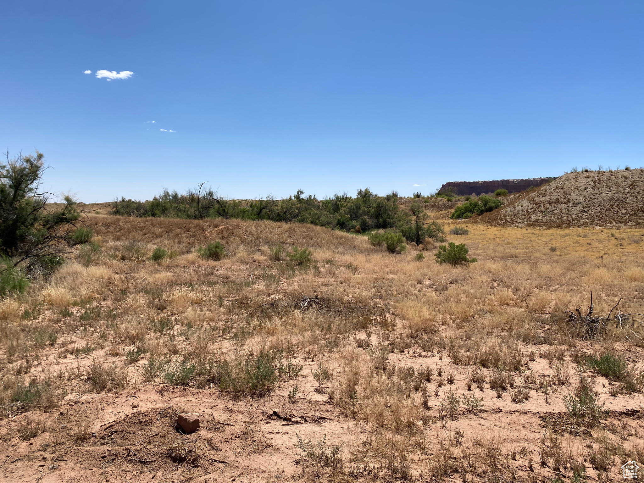 1200 W COTTONWOOD, Bluff, Utah 84512, ,Land,For sale,COTTONWOOD,1986464