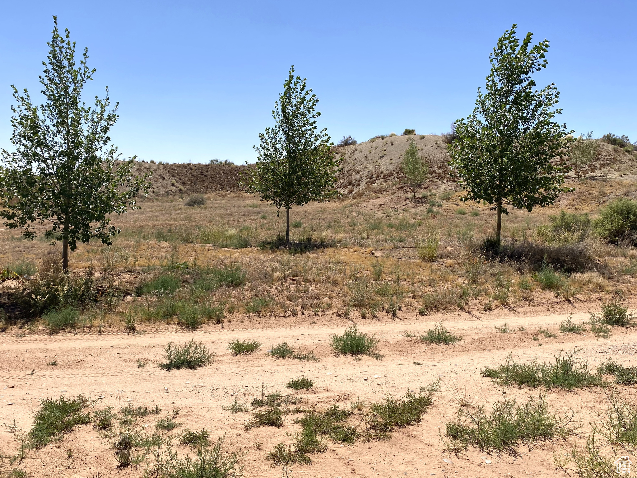 1200 W COTTONWOOD, Bluff, Utah 84512, ,Land,For sale,COTTONWOOD,1986464