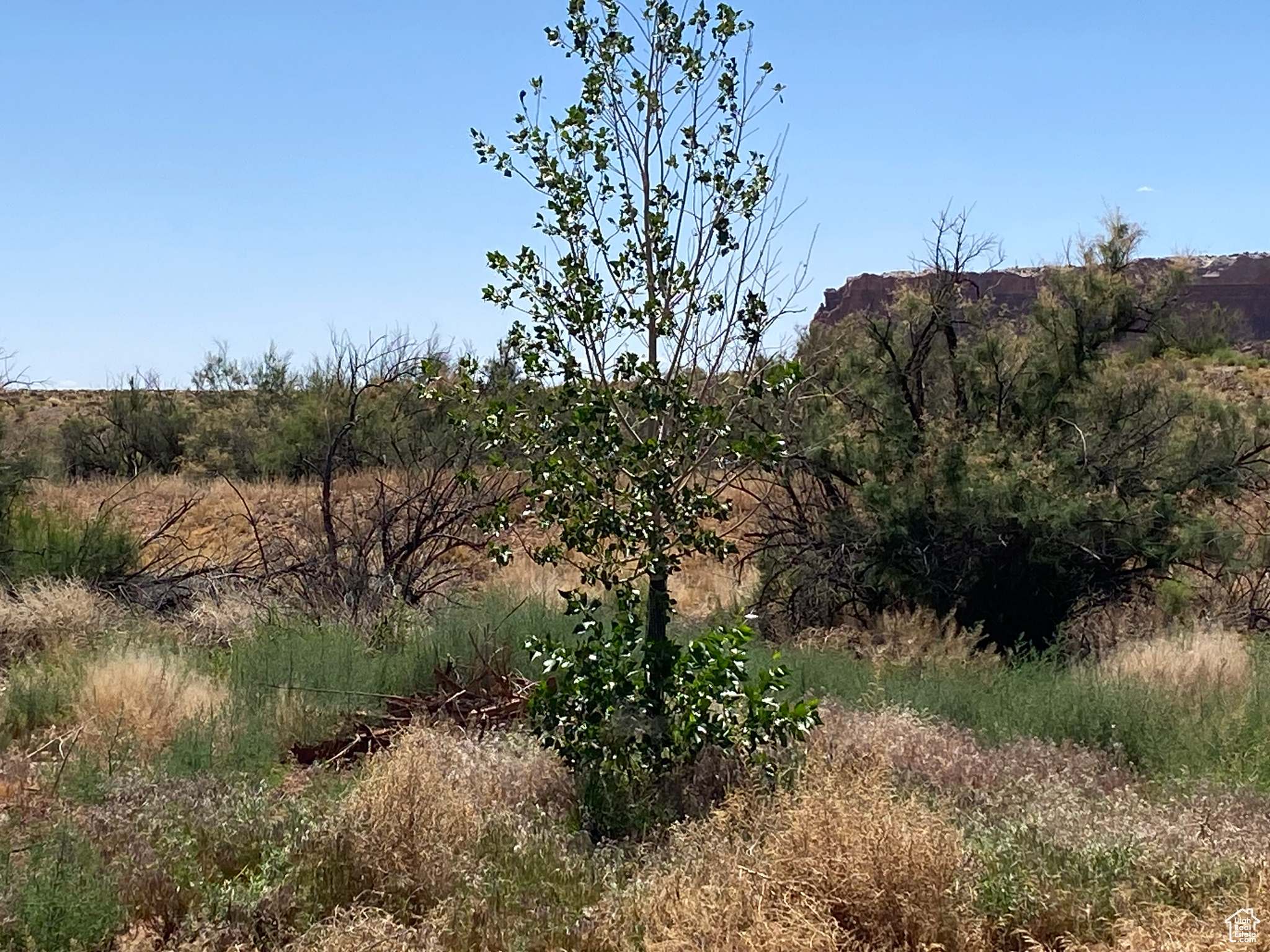 1200 W COTTONWOOD, Bluff, Utah 84512, ,Land,For sale,COTTONWOOD,1986464