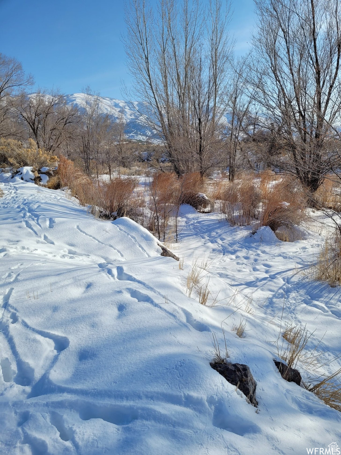 400 S Main Levan UT 84639 350,000