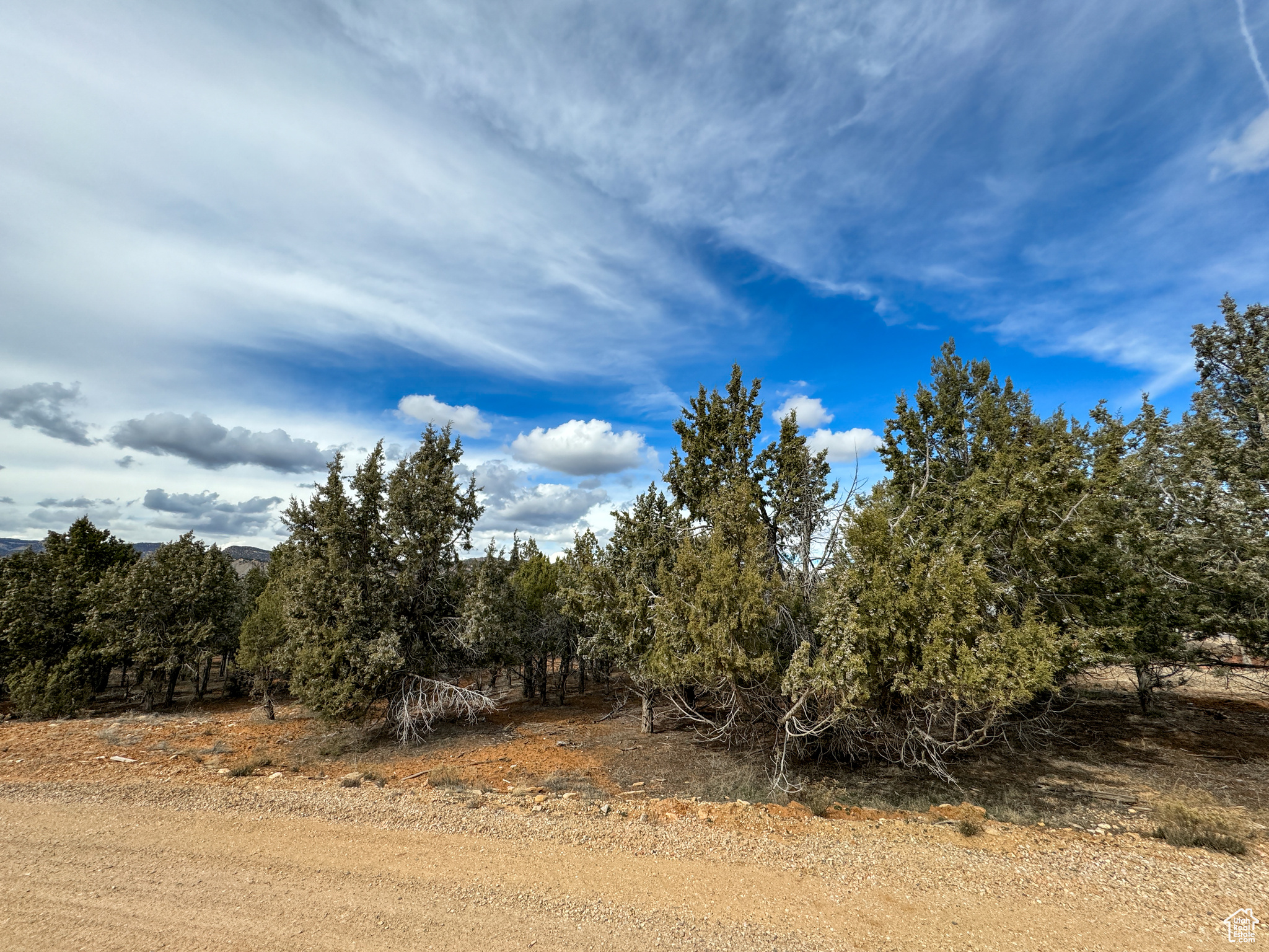 View of nature