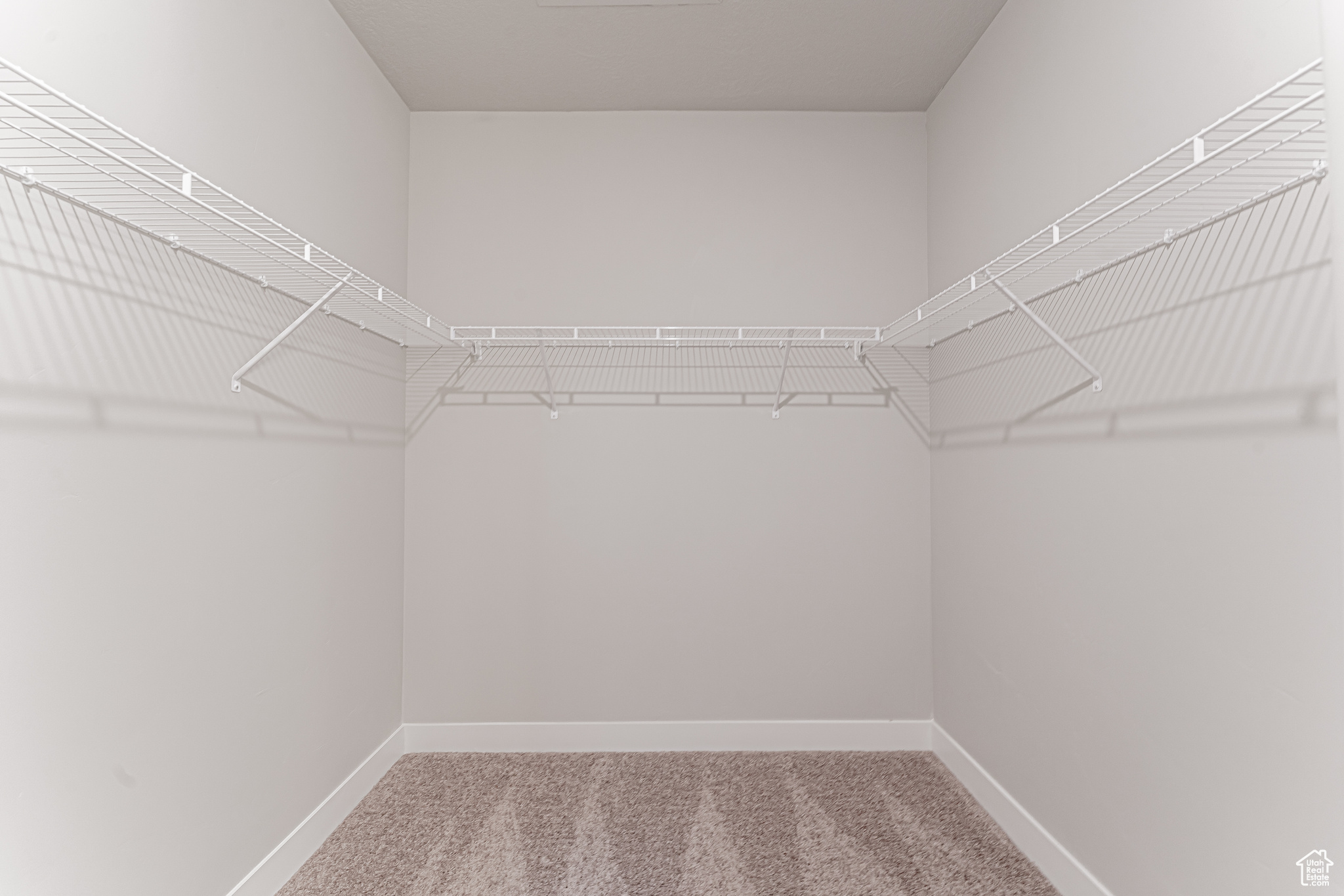 Walk in closet featuring carpet flooring