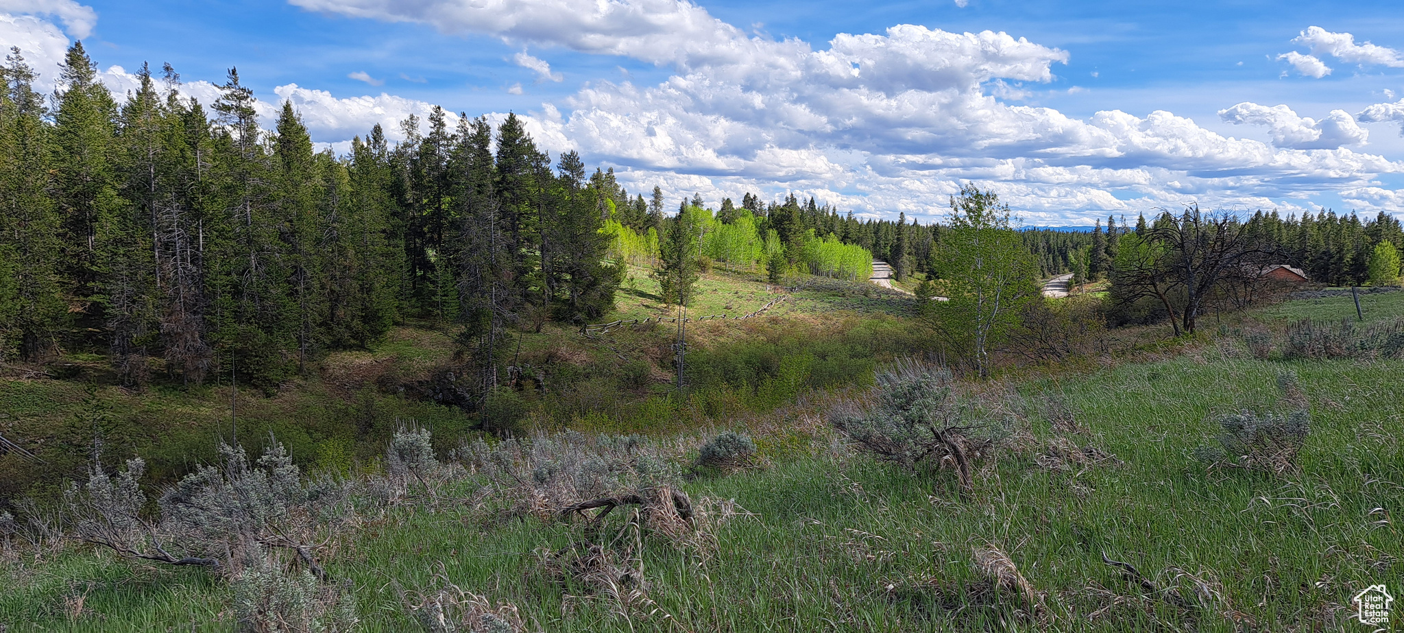 View of nature