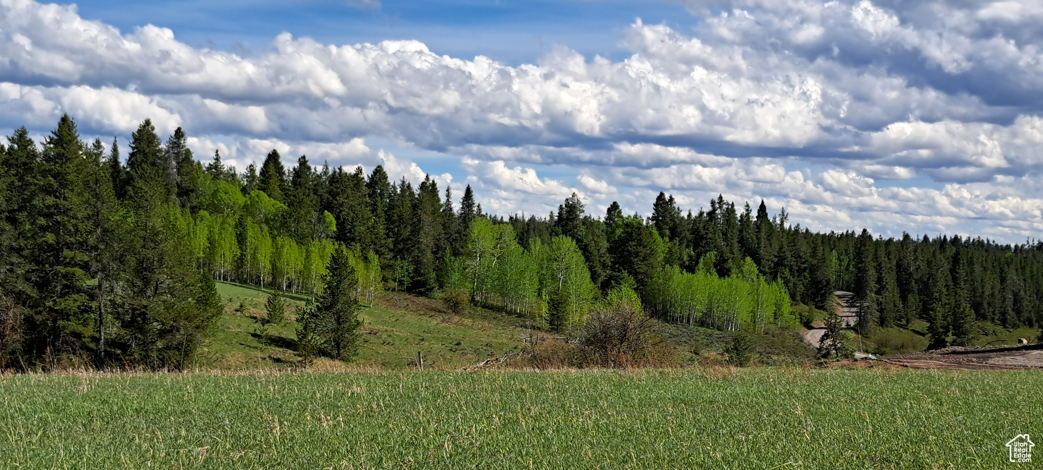 View of mother earth's splendor