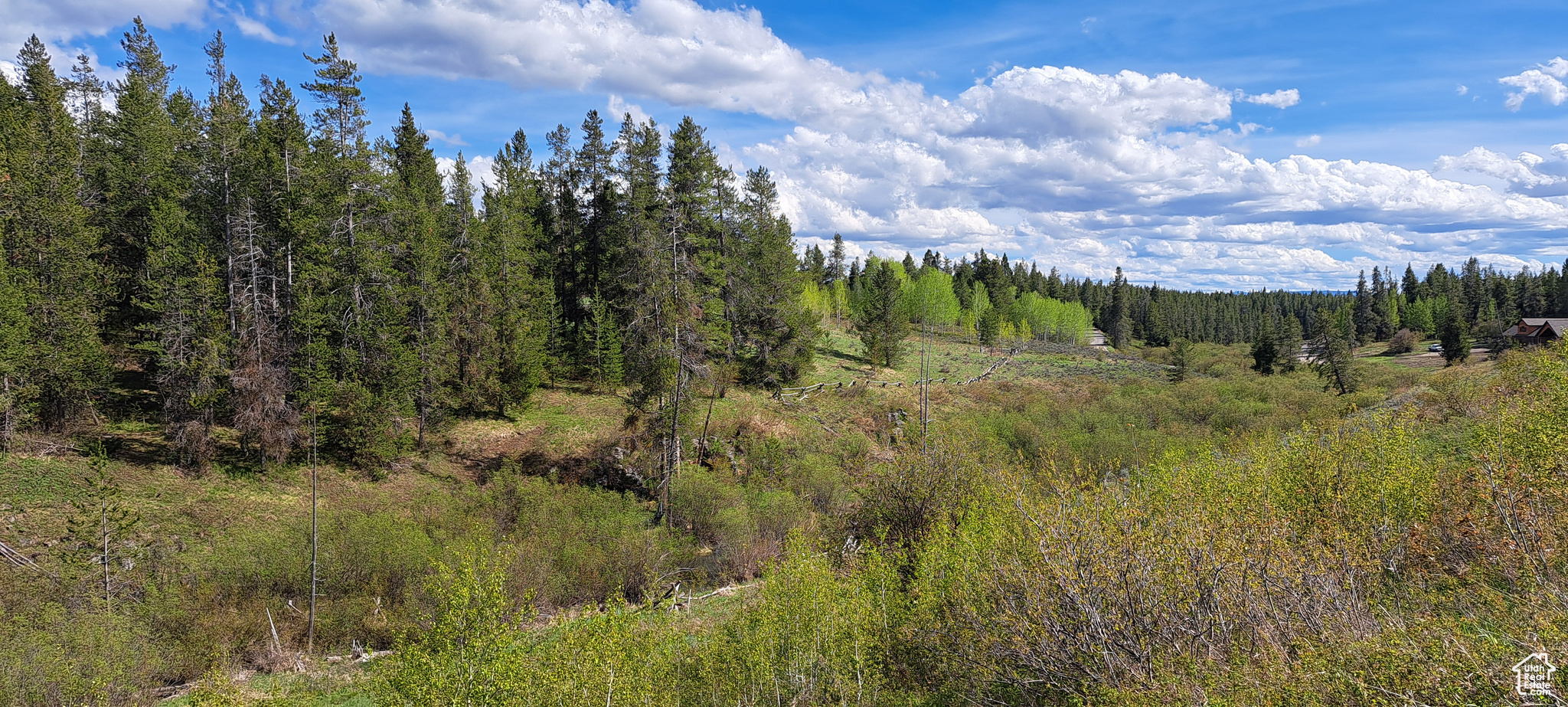 View of nature