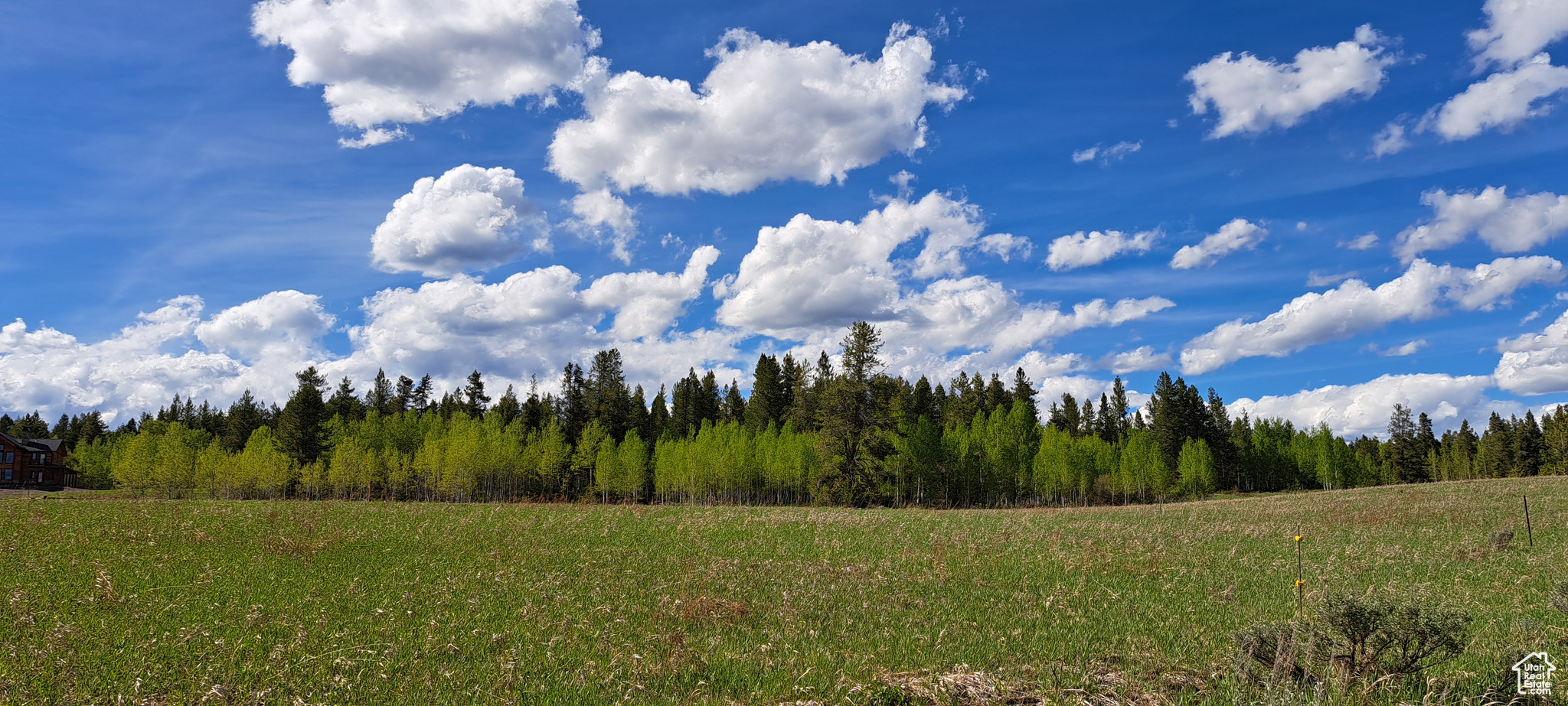 View of mother earth's splendor