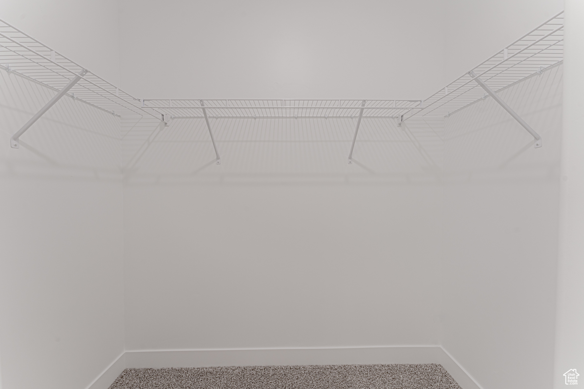 Spacious closet featuring carpet