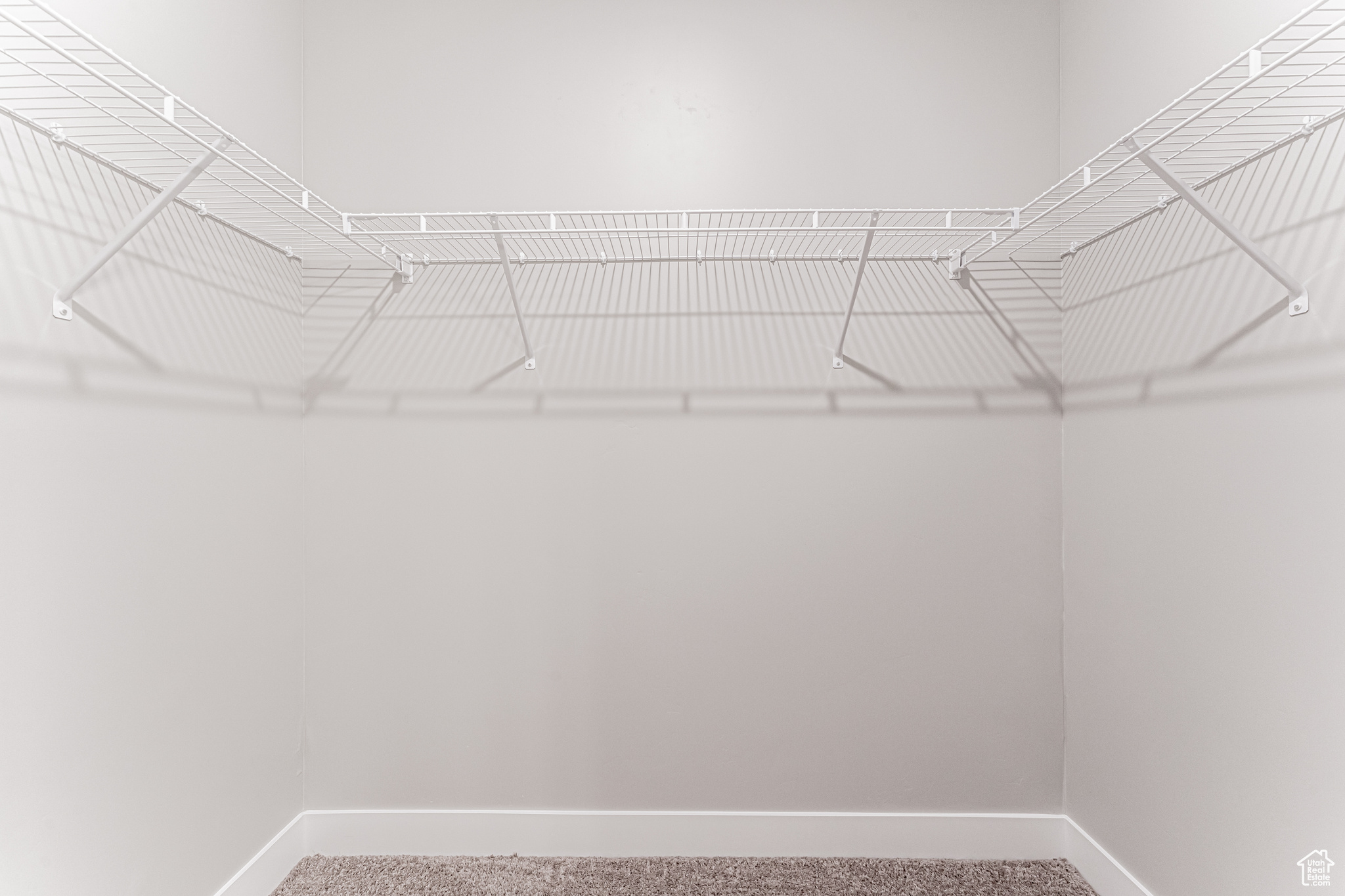 Spacious closet with carpet flooring