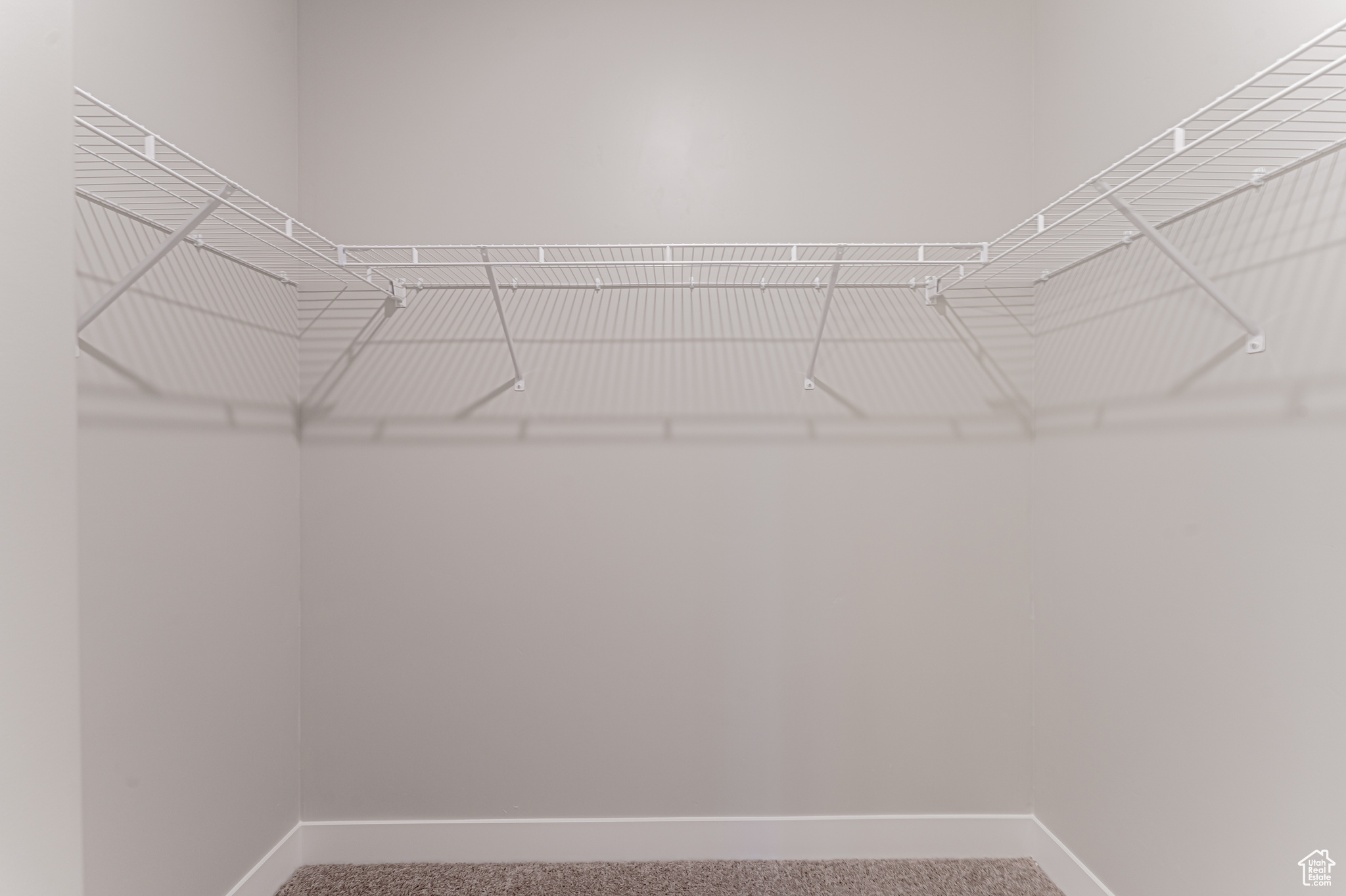 Walk in closet featuring carpet flooring