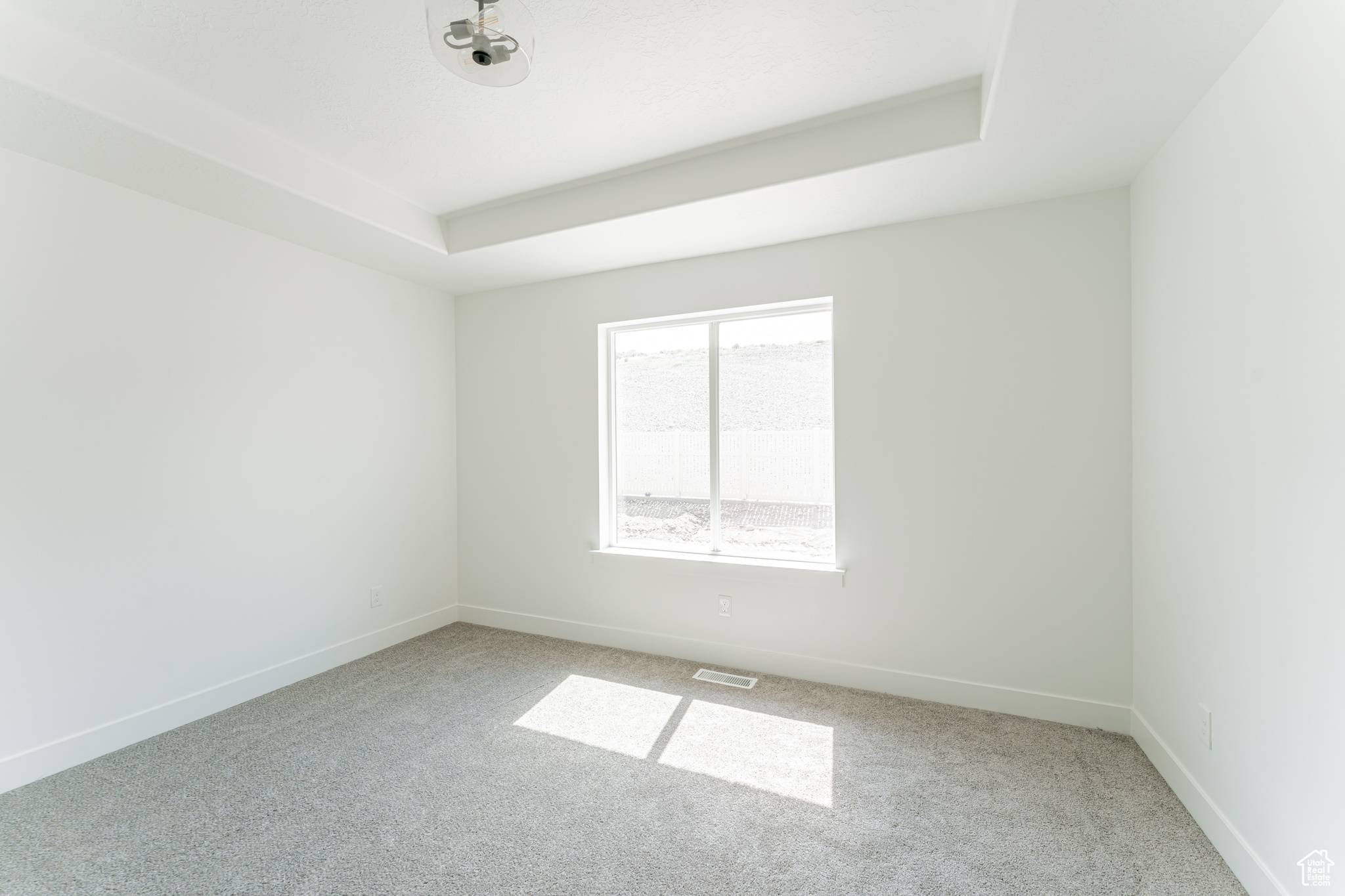 Spare room featuring light colored carpet and a tray ceiling