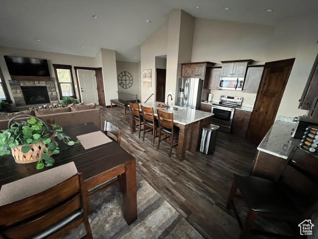 Interior space with dark wood-type flooring, a fireplace, sink, and high vaulted ceiling